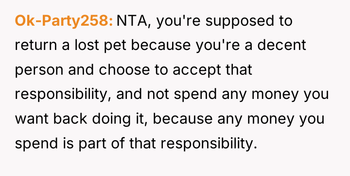 Ok-Party258 NTA, you're supposed to return a lost pet because...
