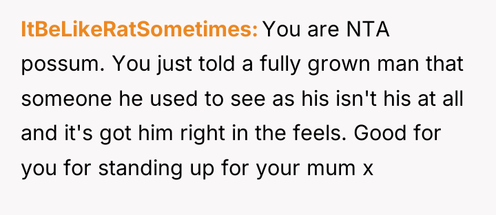 ItBeLikeRatSometimes You are NTA possum. You just told a fully...
