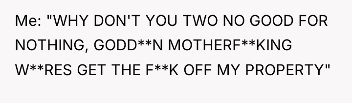 Me: "WHY DON'T YOU TWO NO GOOD FOR NOTHING, GODD**N...