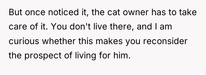 But once noticed it, the cat owner has to take...