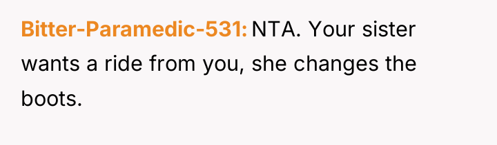 Bitter-Paramedic-531 NTA. Your sister wants a ride from you, she...