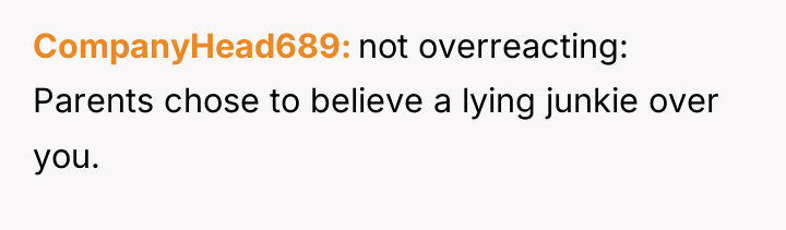 CompanyHead689 not overreacting: Parents chose to believe a lying junkie...