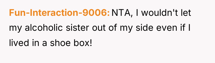 Fun-Interaction-9006 NTA, I wouldn't let my alcoholic sister out of...