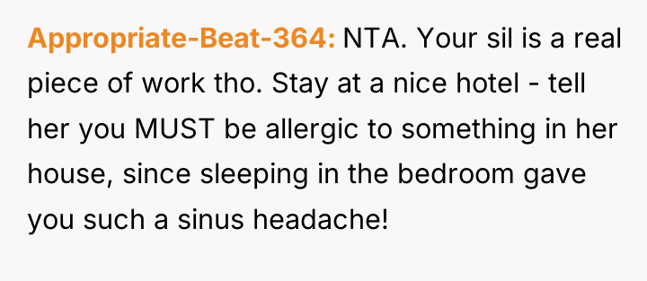 Appropriate-Beat-364 NTA. Your sil is a real piece of work...