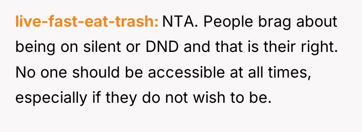 live-fast-eat-trash NTA. People brag about being on silent or DND...