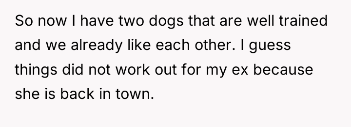 So now I have two dogs that are well trained...