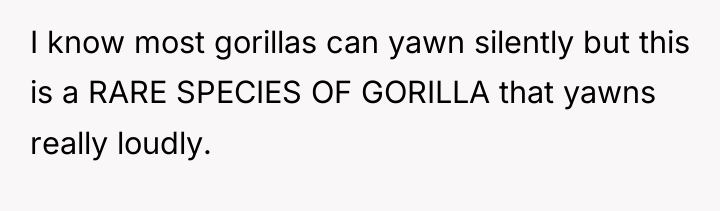 I know most gorillas can yawn silently but this is...