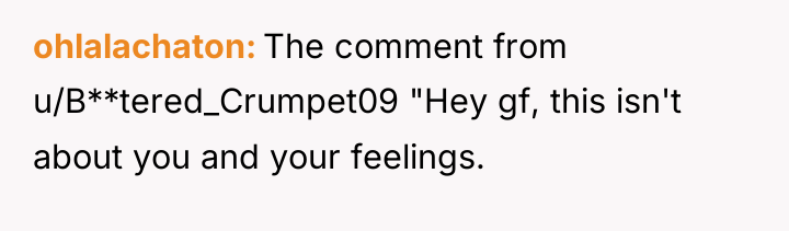 ohlalachaton The comment from u/B**tered_Crumpet09 "Hey gf, this isn't about...