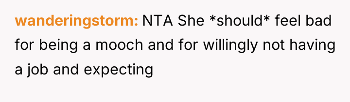 wanderingstorm NTA She *should* feel bad for being a mooch...