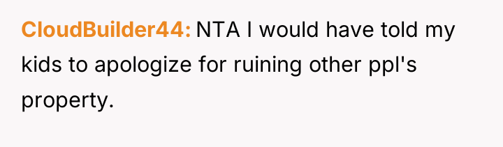 CloudBuilder44 NTA I would have told my kids to apologize...