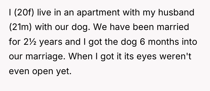 I (20f) live in an apartment with my husband (21m)...