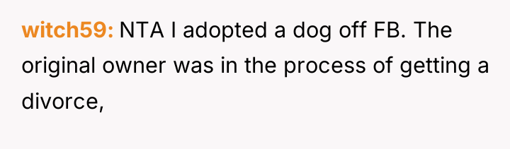 witch59 NTA I adopted a dog off FB. The original...