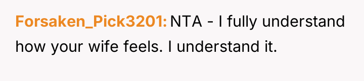 Forsaken_Pick3201 NTA - I fully understand how your wife feels....