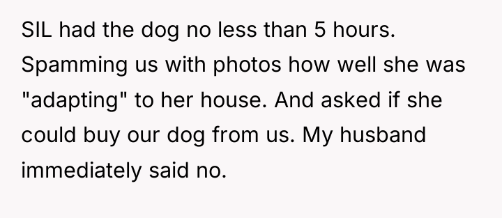 SIL had the dog no less than 5 hours. Spamming...