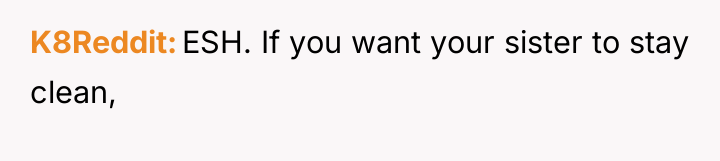 K8Reddit ESH. If you want your sister to stay clean,