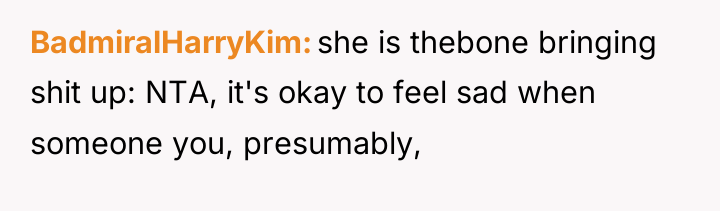 BadmiralHarryKim she is thebone bringing shit up: NTA, it's okay...