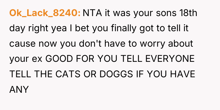 Ok_Lack_8240 NTA it was your sons 18th day right yea...