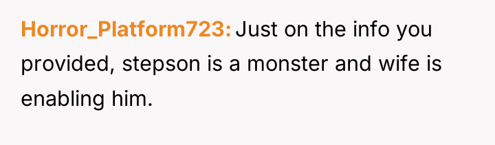Horror_Platform723 Just on the info you provided, stepson is a...