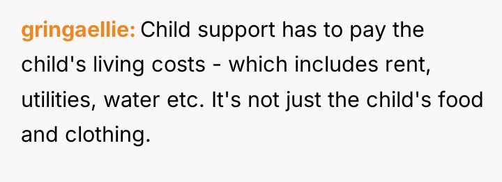 gringaellie Child support has to pay the child's living costs...