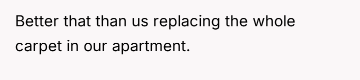 Better that than us replacing the whole carpet in our...