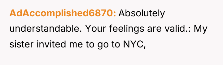 AdAccomplished6870 Absolutely understandable. Your feelings are valid.: My sister invited...