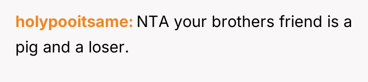 holypooitsame NTA your brothers friend is a pig and a...
