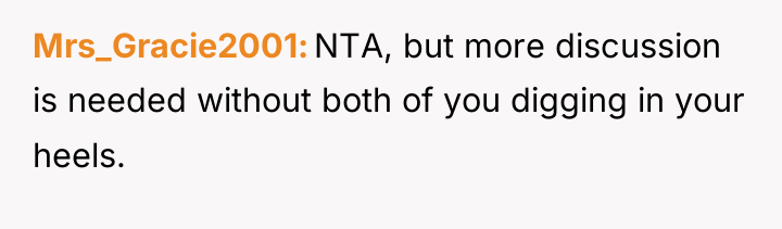 Mrs_Gracie2001 NTA, but more discussion is needed without both of...