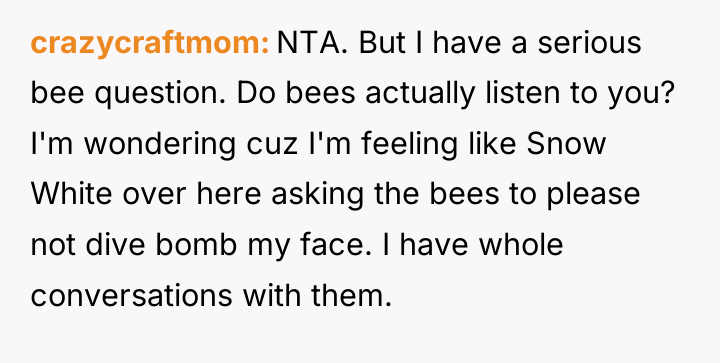 crazycraftmom NTA. But I have a serious bee question. Do...