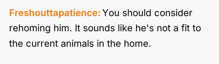 Freshouttapatience You should consider rehoming him. It sounds like he's...