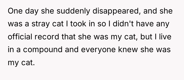 One day she suddenly disappeared, and she was a stray...