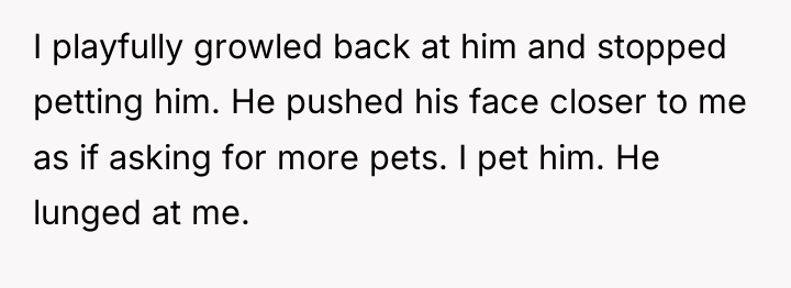I playfully growled back at him and stopped petting him....