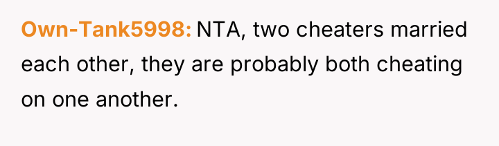 Own-Tank5998 NTA, two cheaters married each other, they are probably...