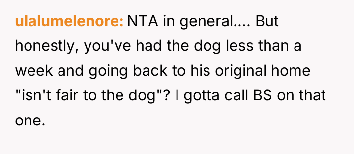 ulalumelenore NTA in general.... But honestly, you've had the dog...