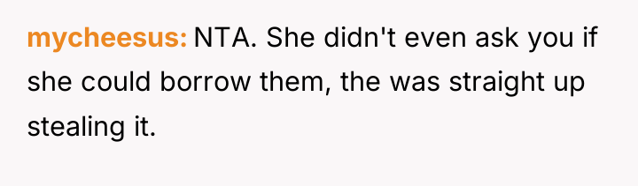 mycheesus NTA. She didn't even ask you if she could...