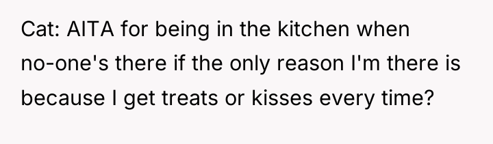Cat: AITA for being in the kitchen when no-one's there...
