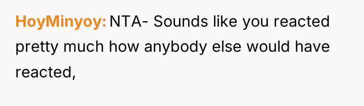 HoyMinyoy NTA- Sounds like you reacted pretty much how anybody...