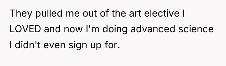 They pulled me out of the art elective I LOVED...