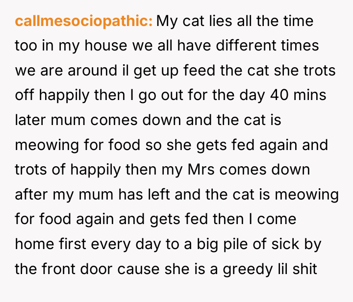 callmesociopathic My cat lies all the time too in my...