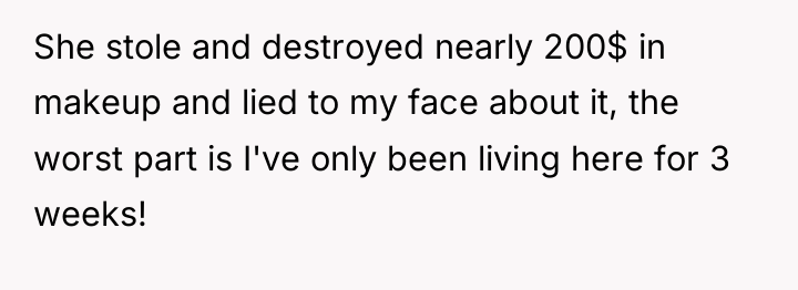 She stole and destroyed nearly 200$ in makeup and lied...