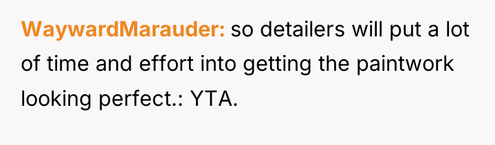 WaywardMarauder so detailers will put a lot of time and...