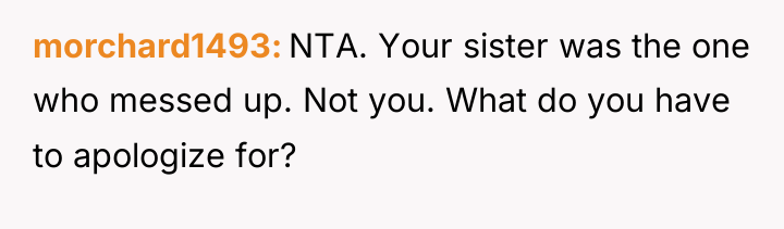 morchard1493 NTA. Your sister was the one who messed up....