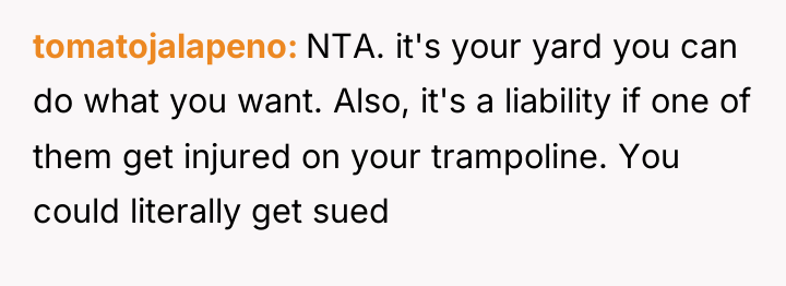 tomatojalapeno NTA. it's your yard you can do what you...