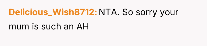 Delicious_Wish8712 NTA. So sorry your mum is such an AH