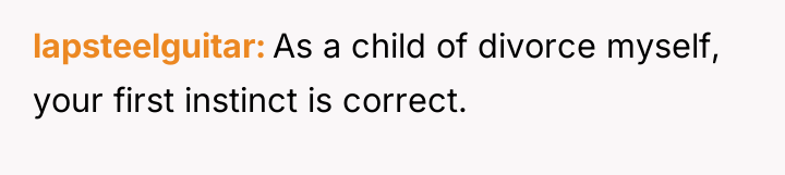 lapsteelguitar As a child of divorce myself, your first instinct...