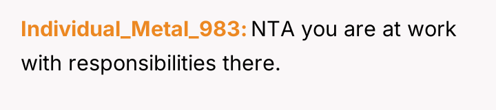 Individual_Metal_983 NTA you are at work with responsibilities there.