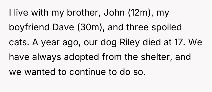 I live with my brother, John (12m), my boyfriend Dave...
