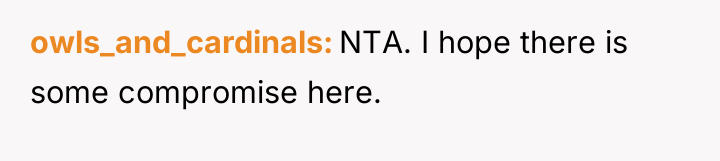 owls_and_cardinals NTA. I hope there is some compromise here.