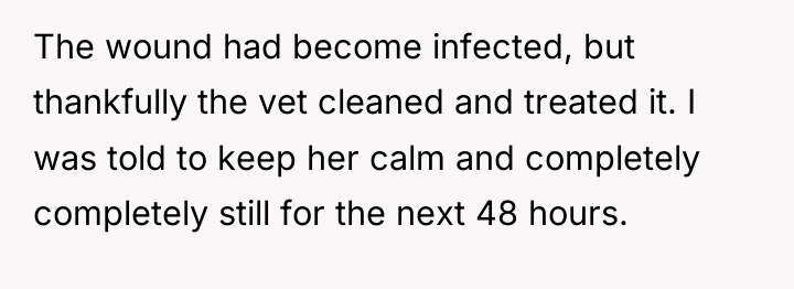 The wound had become infected, but thankfully the vet cleaned...
