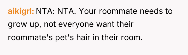 aikigrl NTA: NTA. Your roommate needs to grow up, not...