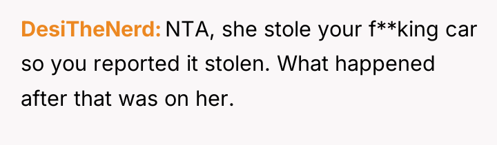 DesiTheNerd NTA, she stole your f**king car so you reported...